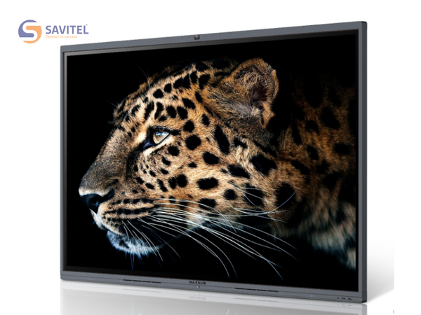 Kinh chong loa chong xuoc V6 Classic