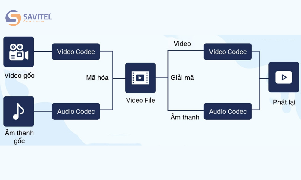 Codec hoạt động như thế nào trong một cuộc họp trực tuyến?