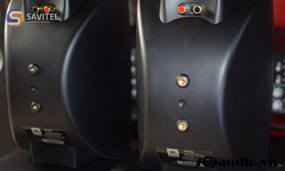 Loa JBL KS 300 mặt sau
