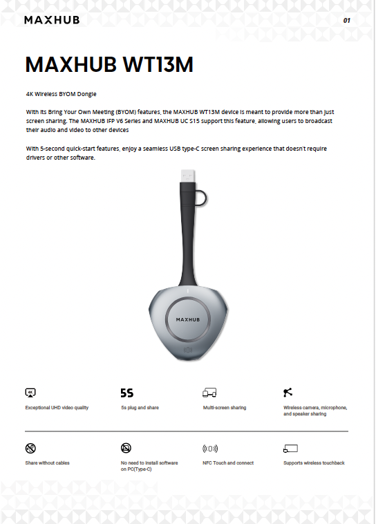 Maxhub Wireless Dongle WT13M Datasheet