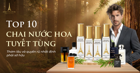 Top 10 chai nước hoa tuyết tùng thơm lâu và quyến rũ nhất