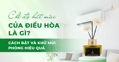 Chế độ hút mùi của điều hòa là gì? Cách bật và khử mùi phòng hiệu quả