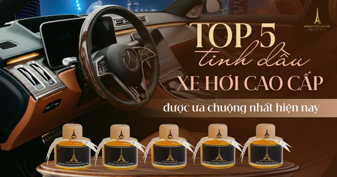 Top 5 tinh dầu xe hơi cao cấp được ưa chuộng nhất hiện nay