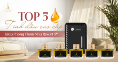 Top 5 Tinh Dầu Cao Cấp Giúp Phòng Luôn Thơm Như Resort 5 Sao