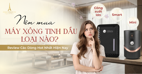 Nên Mua Máy Xông Tinh Dầu Loại Nào? Review Các Dòng Hot Nhất Hiện Nay