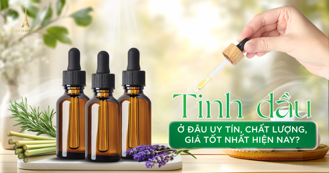 Tinh dầu bán ở đâu uy tín, chất lượng, giá tốt nhất hiện nay?