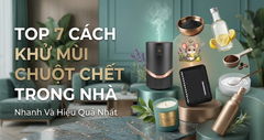Top 7 Cách Khử Mùi Chuột Chết Trong Nhà Nhanh Và Hiệu Quả Nhất