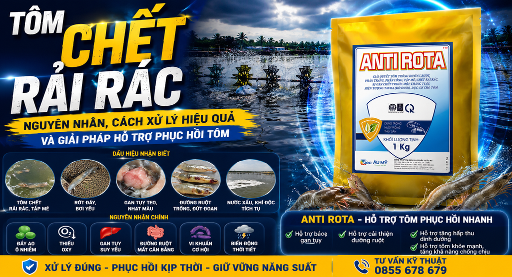 Tôm chết rải rác: Nguyên nhân và cách xử lý hiệu quả