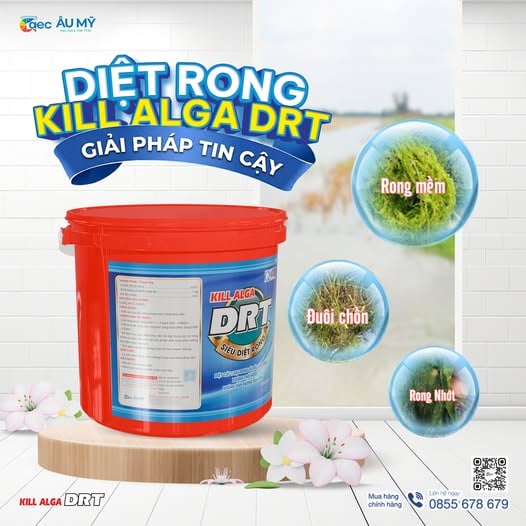 Chia sẻ:  Kill Alga DRT - Diệt Rong đuôi chồn, rong đá, rong bún, rong nhớt không ảnh hưởng đến tôm