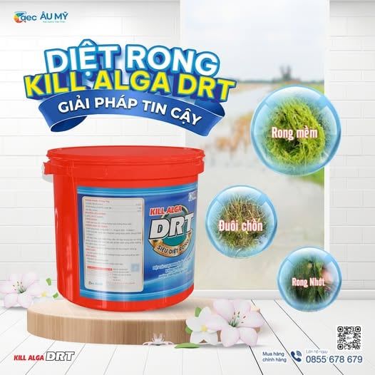 Combo xử lý rong ao tôm ZDRT và Kill Alga DRT
