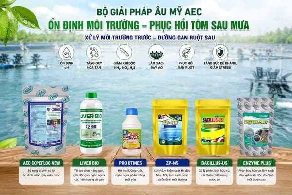 Bộ giải pháp hỗ trợ ao tôm sau mưa Âu Mỹ AEC