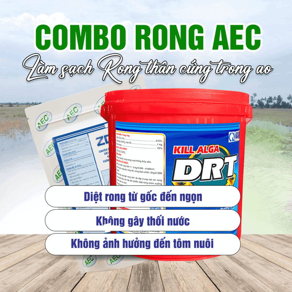 Combo xử lý rong ao tôm ZDRT và Kill Alga DRT
