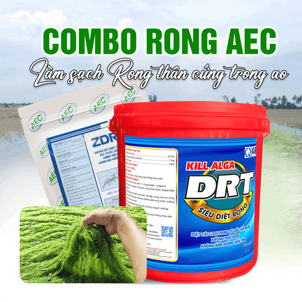 Combo xử lý rong ao tôm ZDRT và Kill Alga DRT