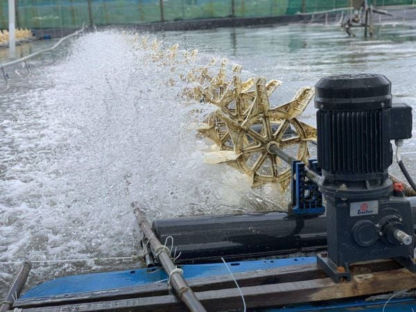 Chạy quạt nước phá phân tầng sau mưa