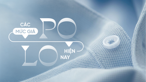 Áo Polo Nam Giá Bao Nhiêu? Cách Chọn Theo Ngân Sách Và Giá Trị Sử Dụng