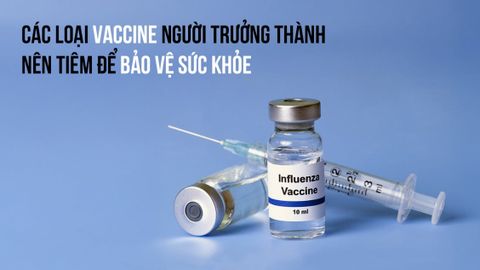 CÁC LOẠI VACCINE NGƯỜI TRƯỞNG THÀNH NÊN TIÊM ĐỂ BẢO VỆ SỨC KHỎE