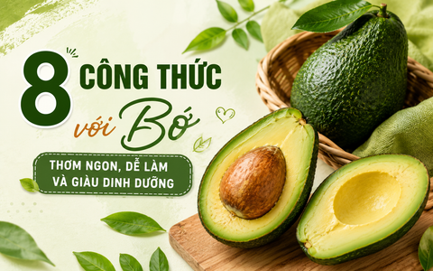 8 CÔNG THỨC VỚI BƠ THƠM NGON, DỄ LÀM VÀ GIÀU DINH DƯỠNG