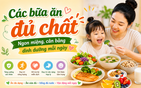 Các bữa ăn đủ chất – Ngon miệng, cân bằng dinh dưỡng mỗi ngày