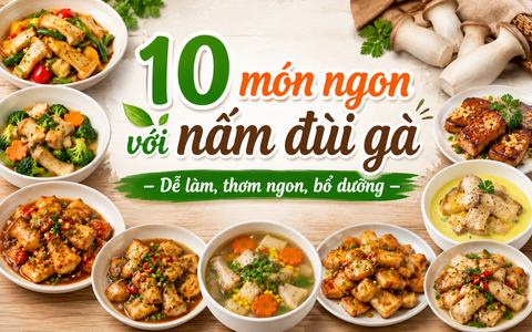 10 món ngon với nấm đùi gà – Dễ làm, thơm ngon, bổ dưỡng