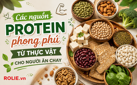 Các nguồn protein phong phú từ thực vật cho người ăn chay