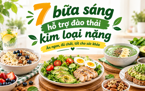7 bữa sáng hỗ trợ đào thải kim loại nặng – Ăn ngon, đủ chất, tốt cho sức khỏe