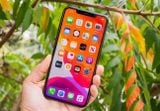 Nên làm gì khi gặp lỗi iPhone 11 Pro Max đơ màn hình