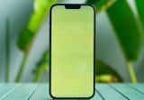 Mẹo khắc phục lỗi iPhone 13 Pro Max bị xanh màn hình
