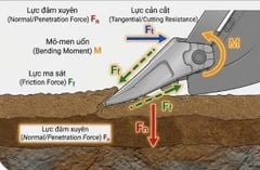 Thiết kế răng có vai trò thế nào với răng gầu đào đất?