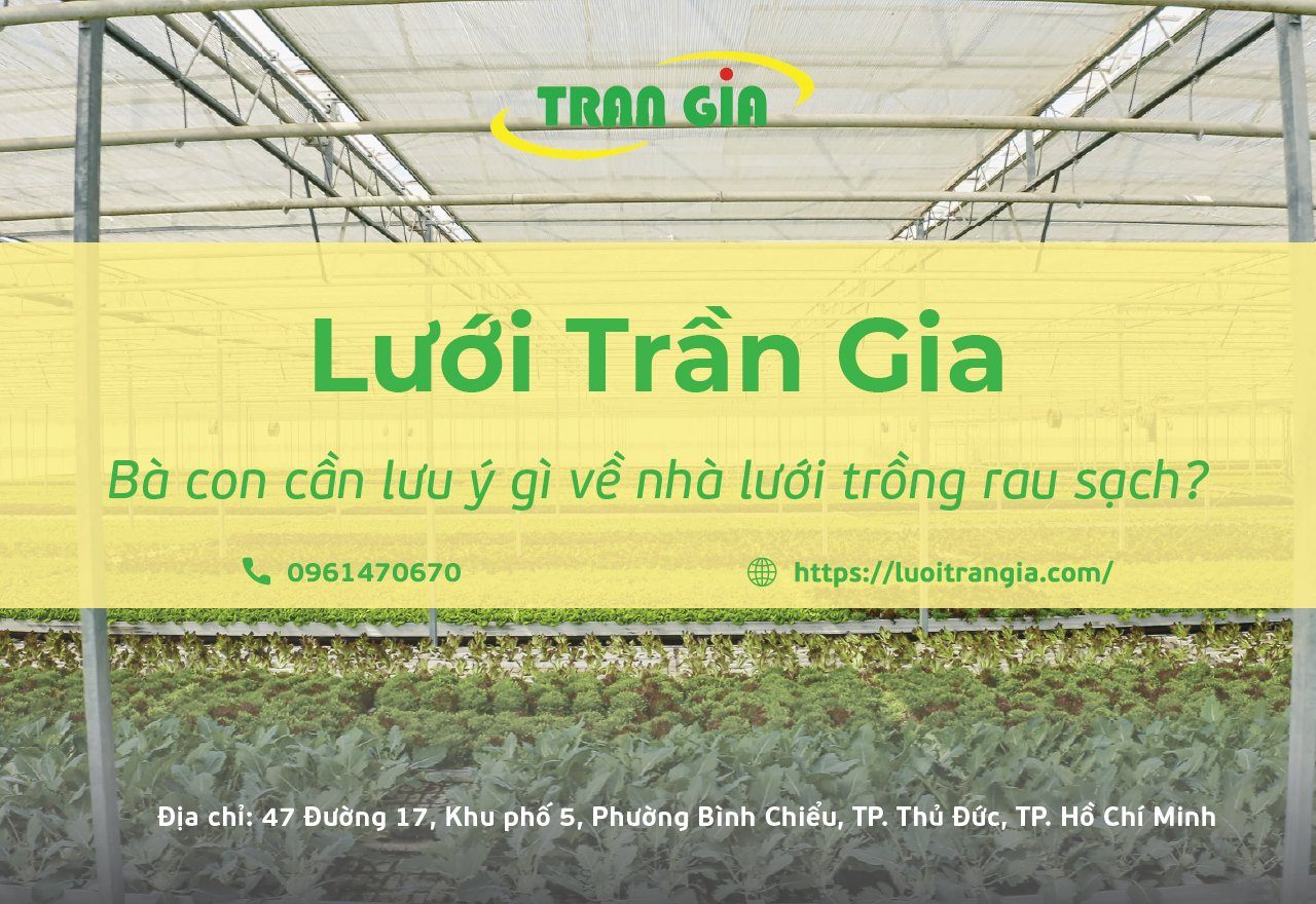 Giải Pháp Hoàn Hảo Bảo Vệ Cây Trồng Mùa Nắng Nóng