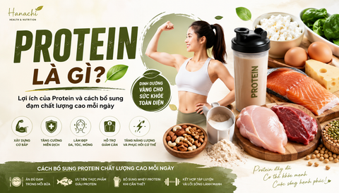 Protein Là Gì? 10 Lợi Ích Của Protein Và Cách Bổ Sung Đạm Đúng Cách