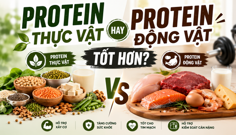 Protein Thực Vật Hay Protein Động Vật Tốt Hơn? So Sánh Chi Tiết Từ Góc Nhìn Khoa Học