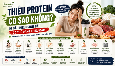 Thiếu Protein Có Sao Không? 10 Dấu Hiệu Cảnh Báo Cơ Thể Đang Thiếu Đạm
