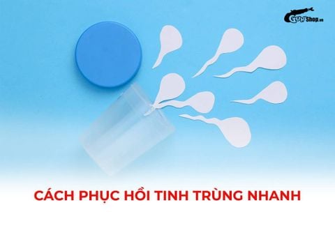 Cách phục hồi tinh trùng nhanh để cải thiện khả năng sinh sản