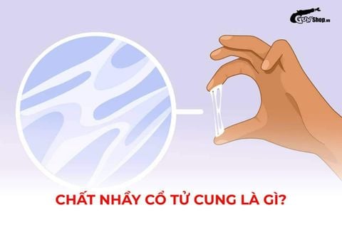 Chất nhầy cổ tử cung là gì? Vai trò và dấu hiệu bất thường cần lưu ý