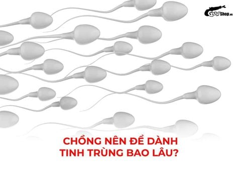 Chồng nên để dành tinh trùng trong bao lâu để dễ thụ thai?