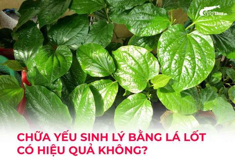 Chữa yếu sinh lý bằng lá lốt có hiệu quả không? Cách làm tại nhà