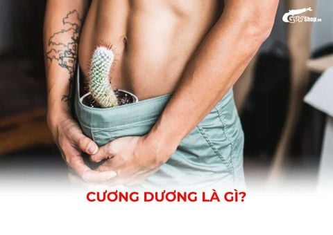 Cương dương là gì? Dấu hiệu và cách phòng tránh rối loạn cương dương