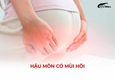Hậu môn có mùi hôi: Dấu hiệu sinh lý bình thường hay báo hiệu bệnh lý