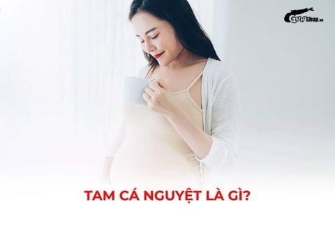 Tam cá nguyệt là gì? Những điều mẹ bầu nhất định nên tìm hiểu