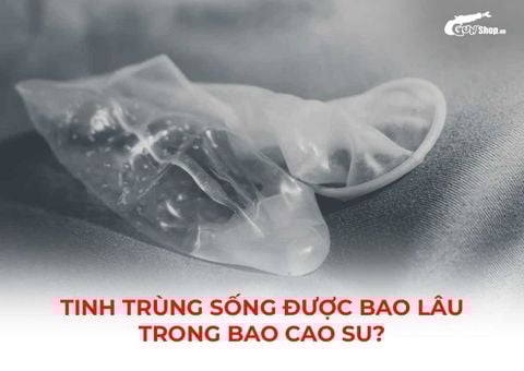 Tinh trùng sống được bao lâu trong bao cao su và ở môi trường khác?