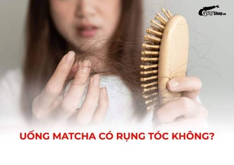 Uống matcha có rụng tóc không? Những lưu ý khi sử dụng