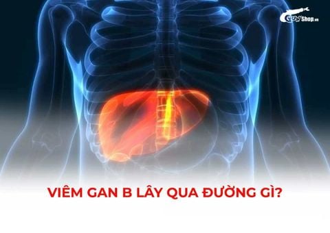 Viêm gan B lây qua đường gì? Những kiến thức cần biết để phòng bệnh