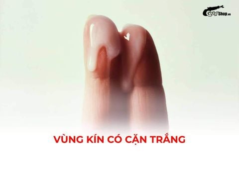 Vùng kín có cặn trắng: Dấu hiệu sinh lý hay cảnh báo bệnh lý phụ khoa?