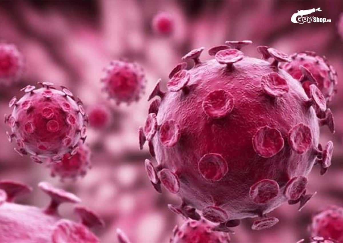 Virus HPV có lây qua giặt chung quần áo không?