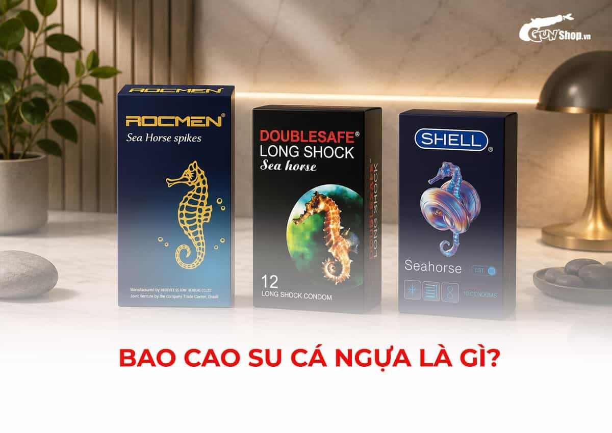Bao cao su cá ngựa là gì?