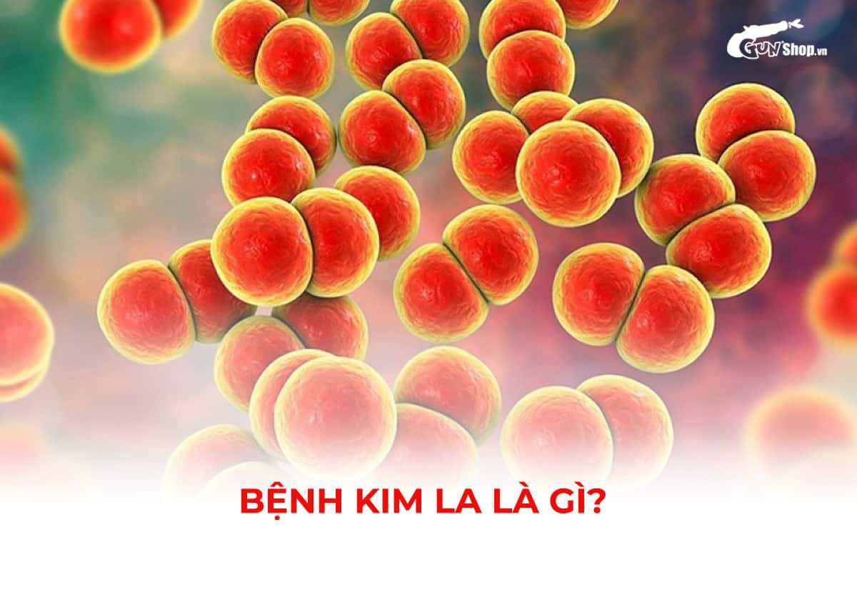 Bệnh kim la là gì?