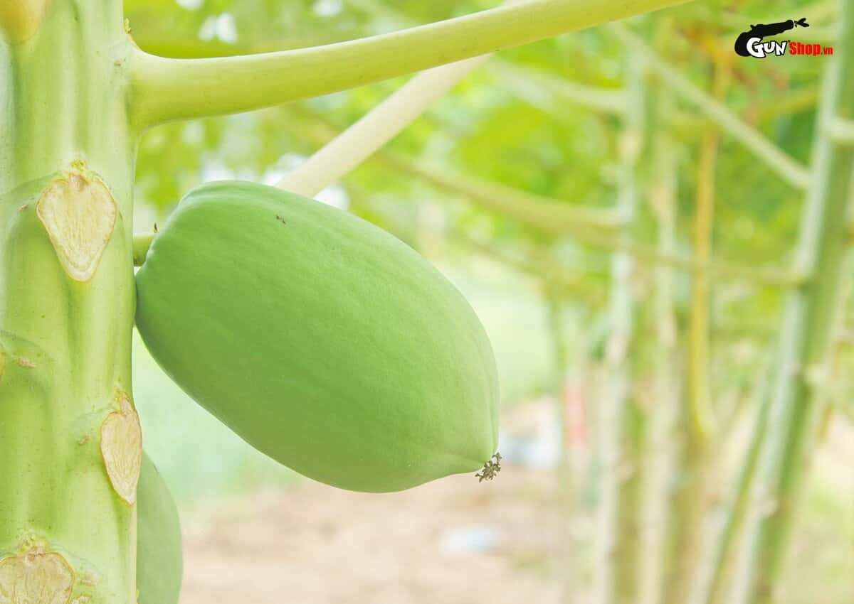 Khi quan hệ xong nên làm gì để không có thai hiệu quả?