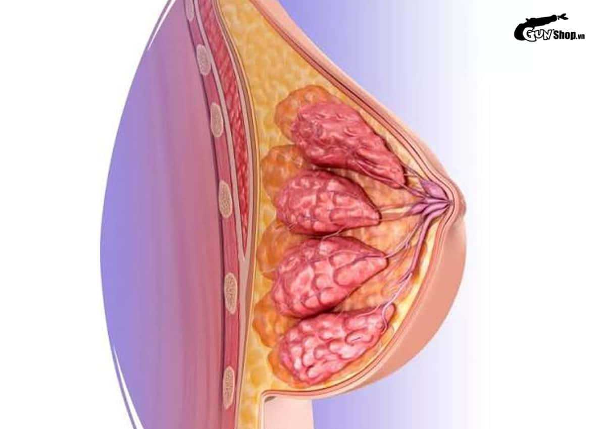 Nam chuyển giới thành nữ có thể cho con bú không?