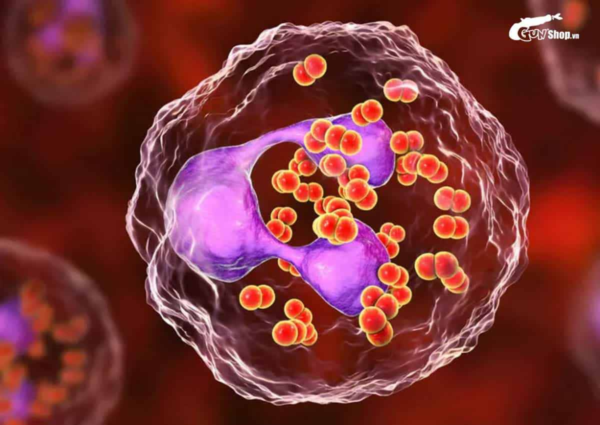 Thời gian ủ bệnh Chlamydia bao lâu?