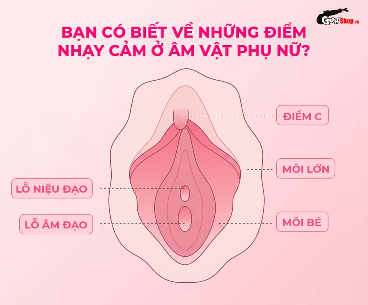 Bạn có biết về những điểm nhạy cảm ở âm vật phụ nữ?